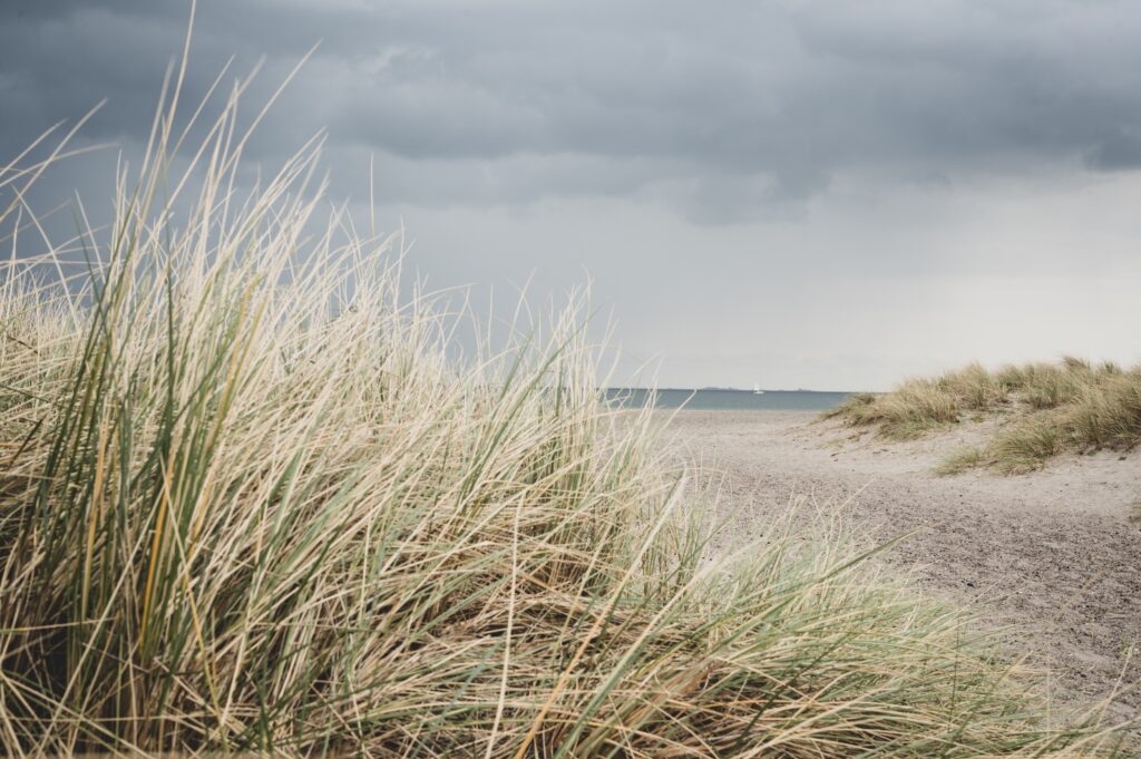 Copenhagen has some of the best beaches in Denmark!