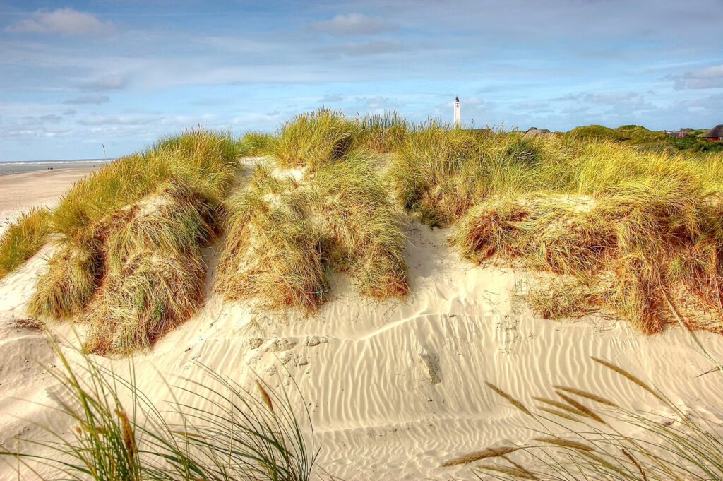 Blavant Beach is among the most beautiful beaches in Denmark!