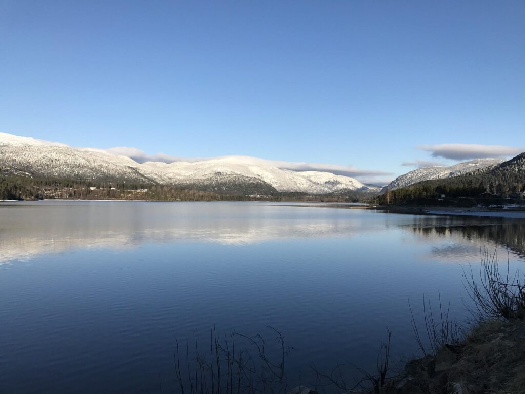 View of Hallingdal while traveling from Oslo to Bergen