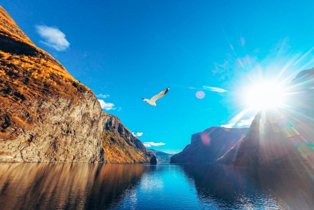 View of Naeroyfjord (Nærøyfjord)