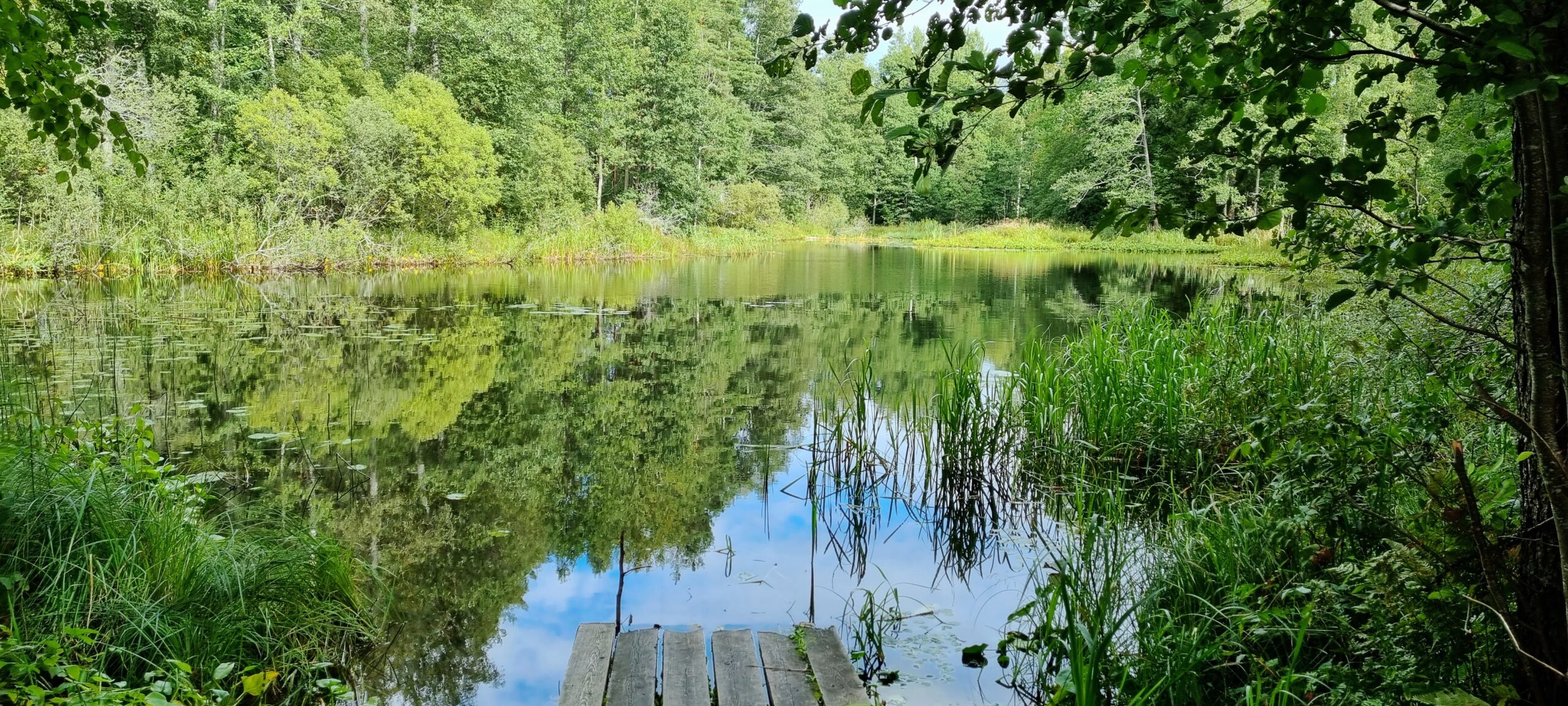 a stop during the road trip at Denmark and Sweden