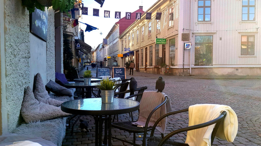 Fika in Haga