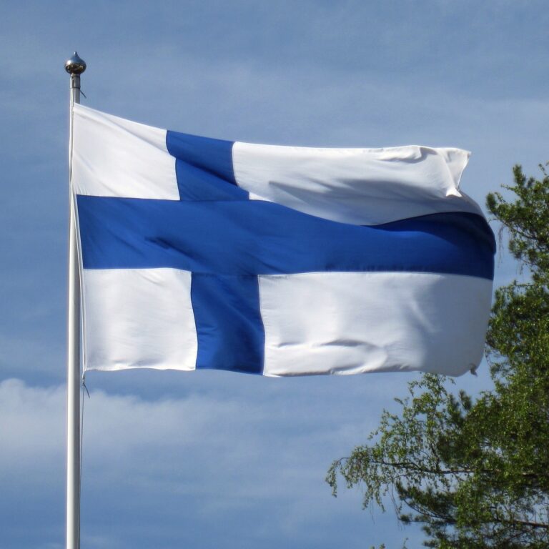 The Finnish Flag: History and Symbolism of the Flag of Finland - True ...